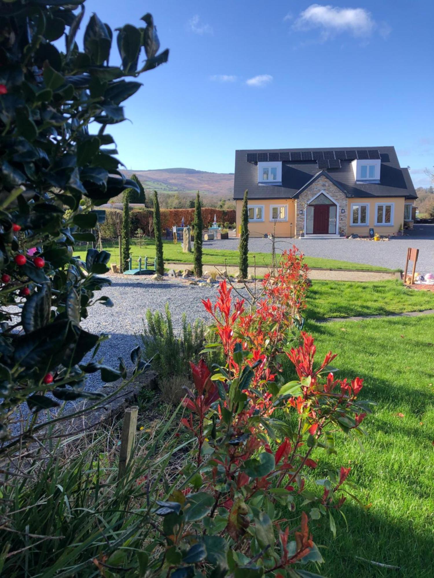 B&B And Cottage Rental "Mon Petit Cottage" Bunclody Exterior photo