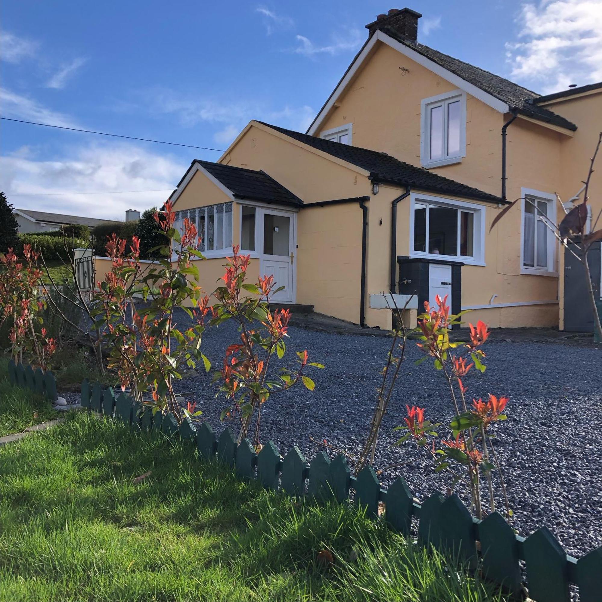 B&B And Cottage Rental "Mon Petit Cottage" Bunclody Exterior photo